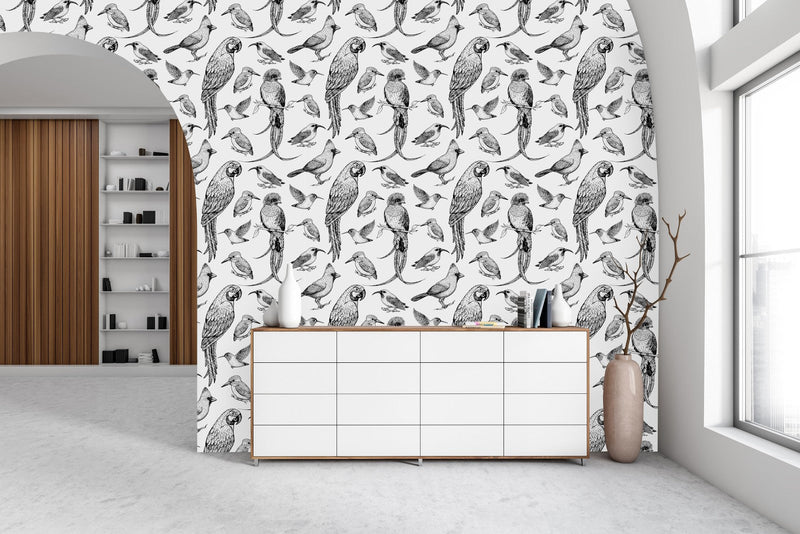 Black and White Birds Wallpaper
