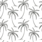 Palms Wallpaper