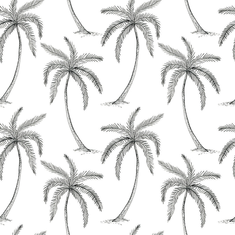 Palms Wallpaper