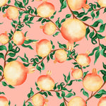 Pomegranate Fruit Wallpaper
