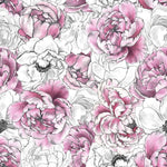 Pink and White Wallpaper