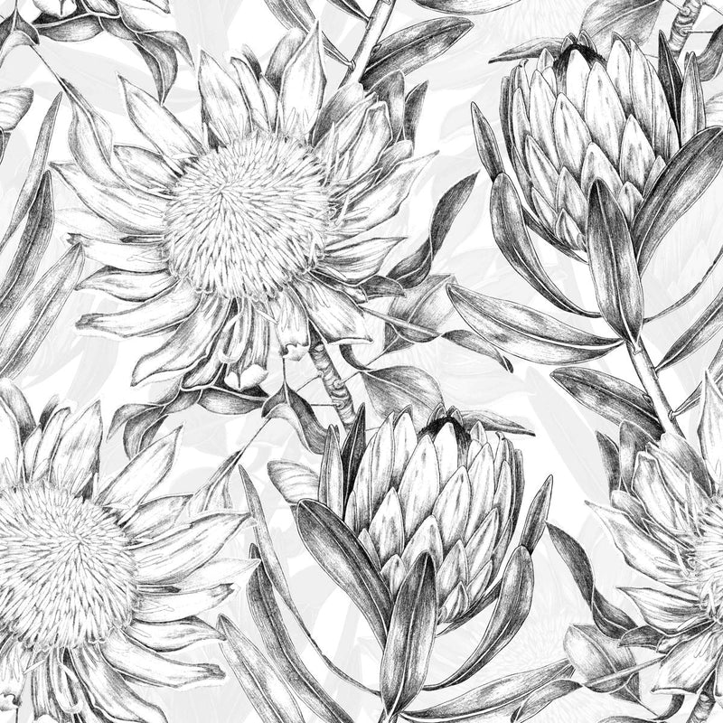 White Wallpaper with Black Contours