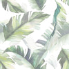Palm Leaves Wallpaper