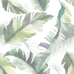 Palm Leaves Wallpaper