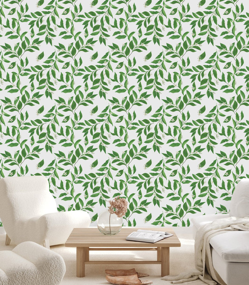 Voguish Jasmine Wallpaper Tasteful