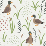 Ducks Wallpaper