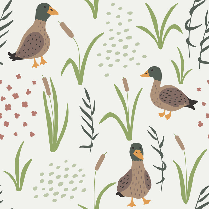 Ducks Wallpaper