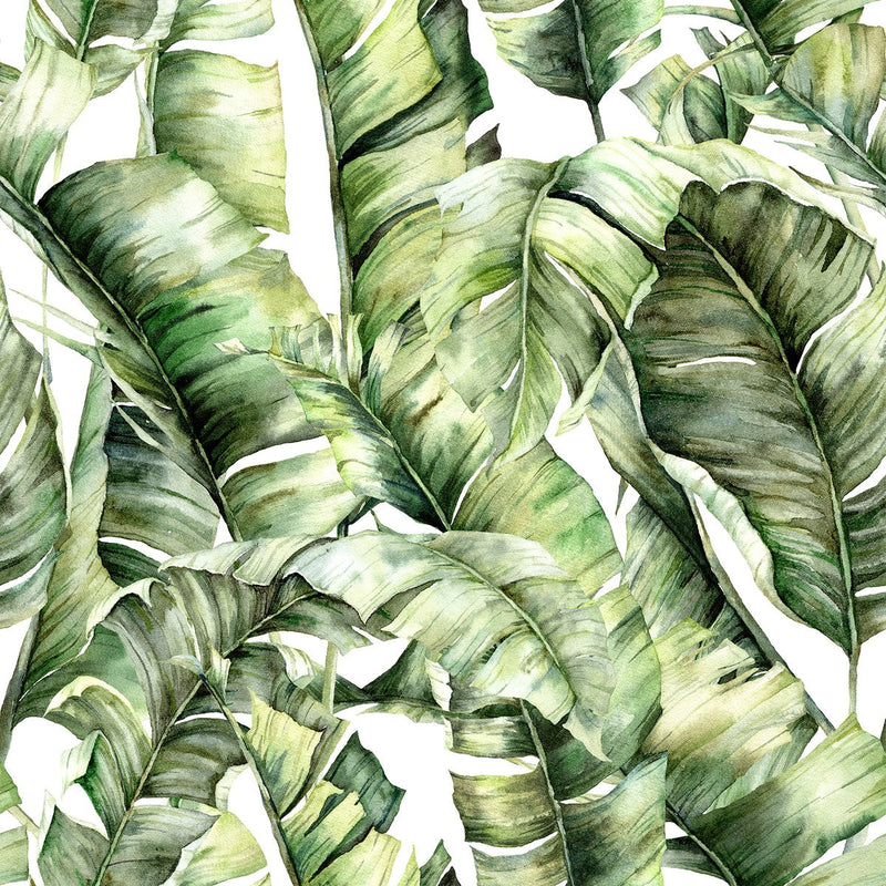 Large Tropical Leaves Wallpaper
