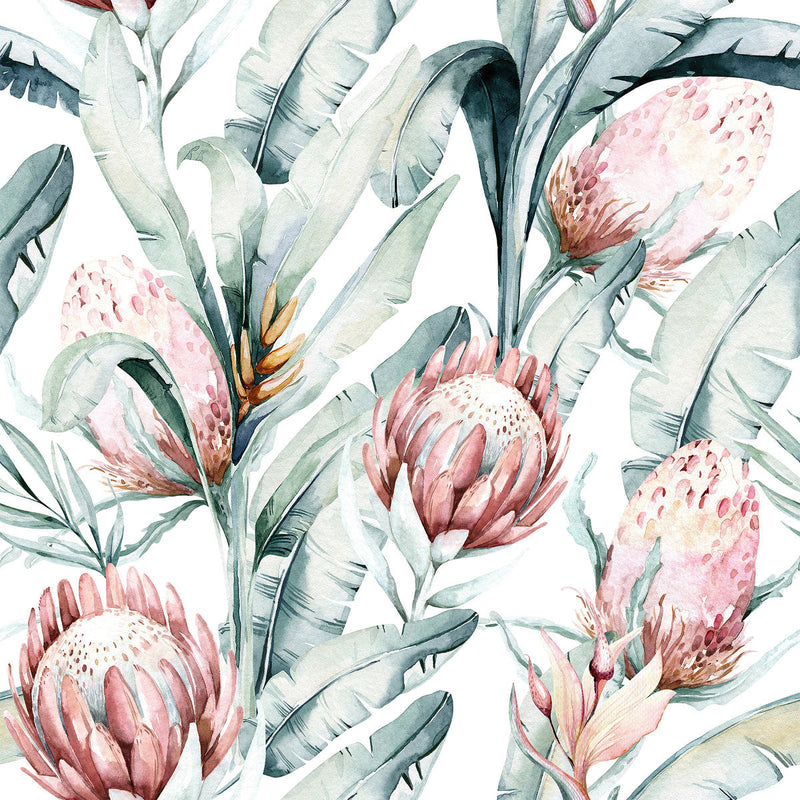 Contemporary Protea Wallpaper Smart