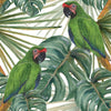 Parrots on Monstera Leaves Wallpaper