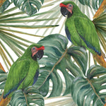 Parrots on Monstera Leaves Wallpaper