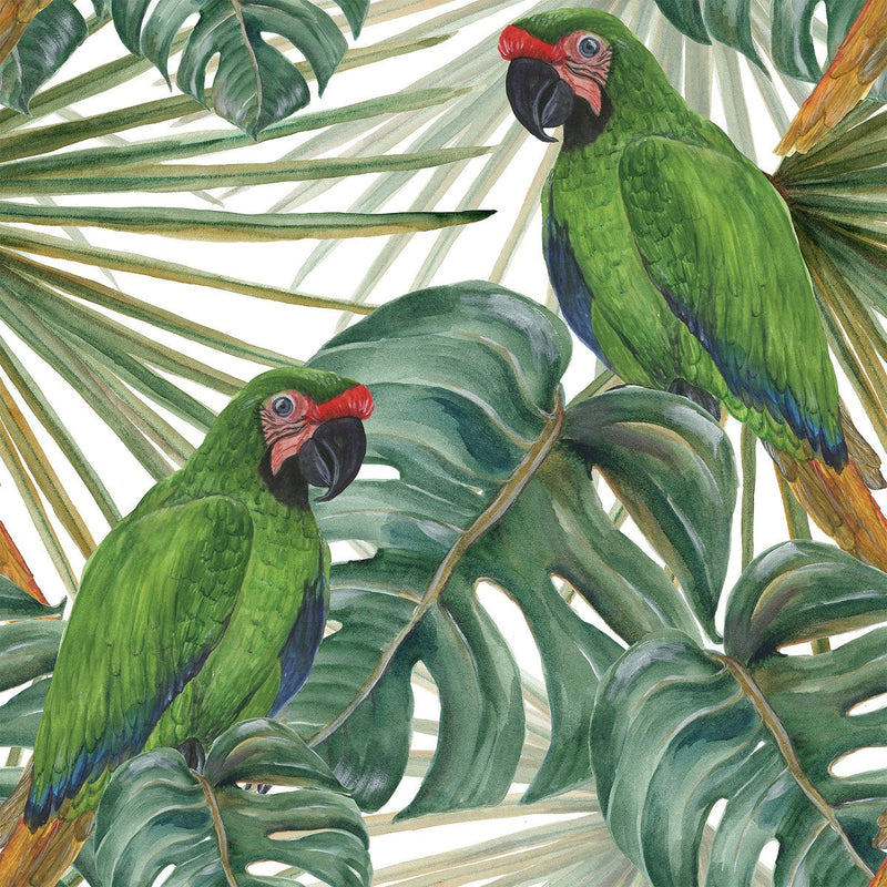 Parrots on Monstera Leaves Wallpaper