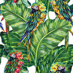 Palm Leaves with Parrots Wallpaper