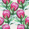 Purple Protea Wallpaper