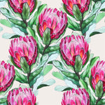 Purple Protea Wallpaper