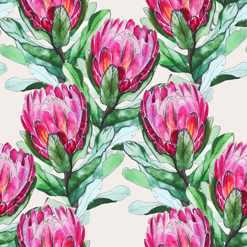 Purple Protea Wallpaper