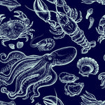 Contemporary Sea World Wallpaper