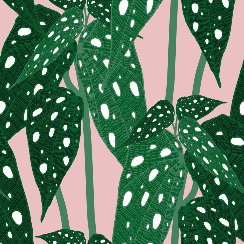 Stylish Green Plants Wallpaper Vogue