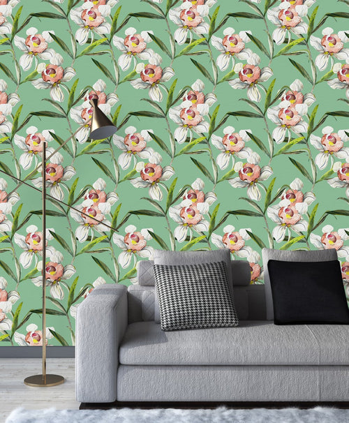 White Orchid on Green Background Wallpaper