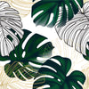 Modish Monstera Wallpaper Fashionable