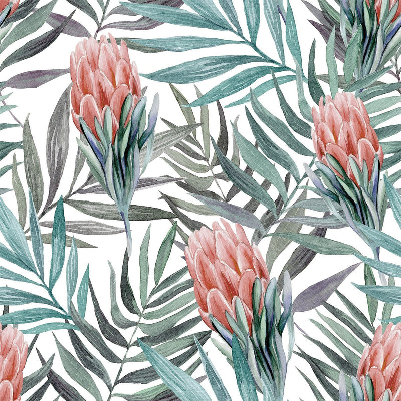 Protea Wallpaper