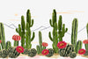 Red Cactus Flowers Wallpaper