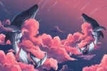 Whales between Pink Clouds Wallpaper