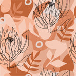 Protea Flowers Wallpaper