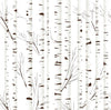 Birch Pattern Wallpaper