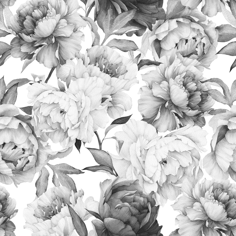 Black and White Peony Wallpaper Mural