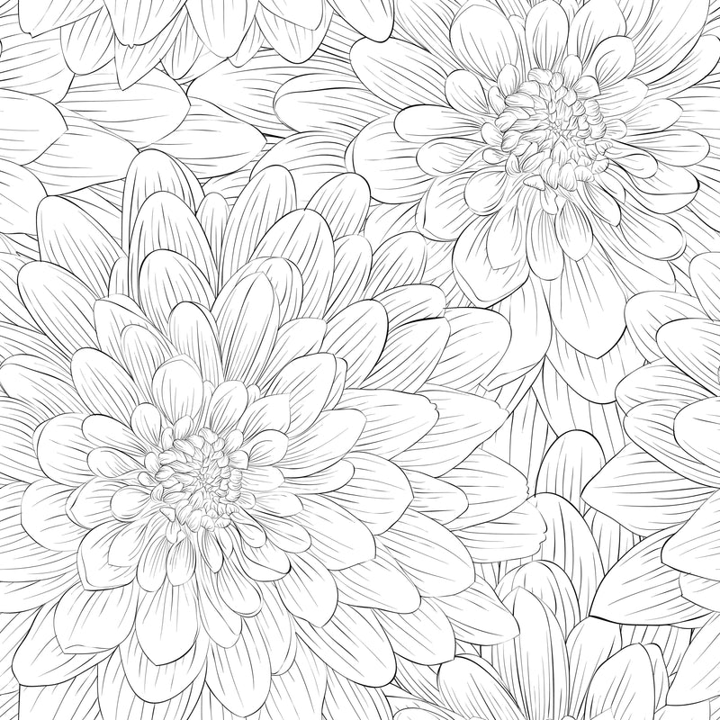 Black Dahlia Wallpaper