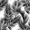 Black Palm Leaves Wallpaper