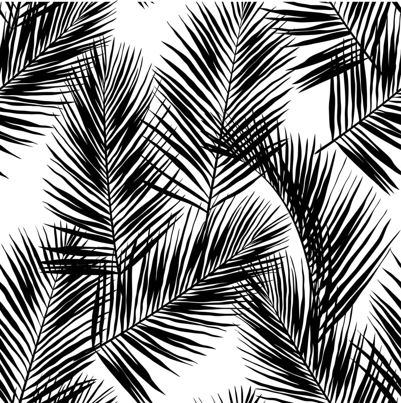 Black Palm Leaves Wallpaper