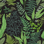 Botanical Leaves and Ferns Wallpaper