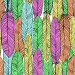 Bright Feathers Wallpaper