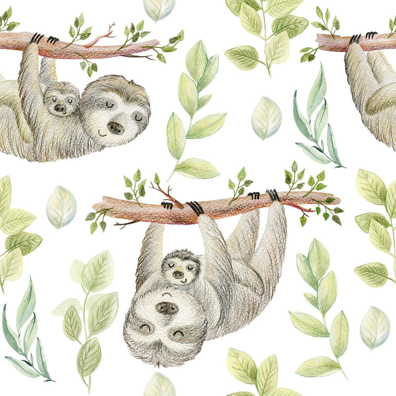 Sloth Wallpaper