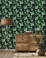 Ficus Wallpaper