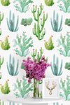 Cacti on White Background Wallpaper
