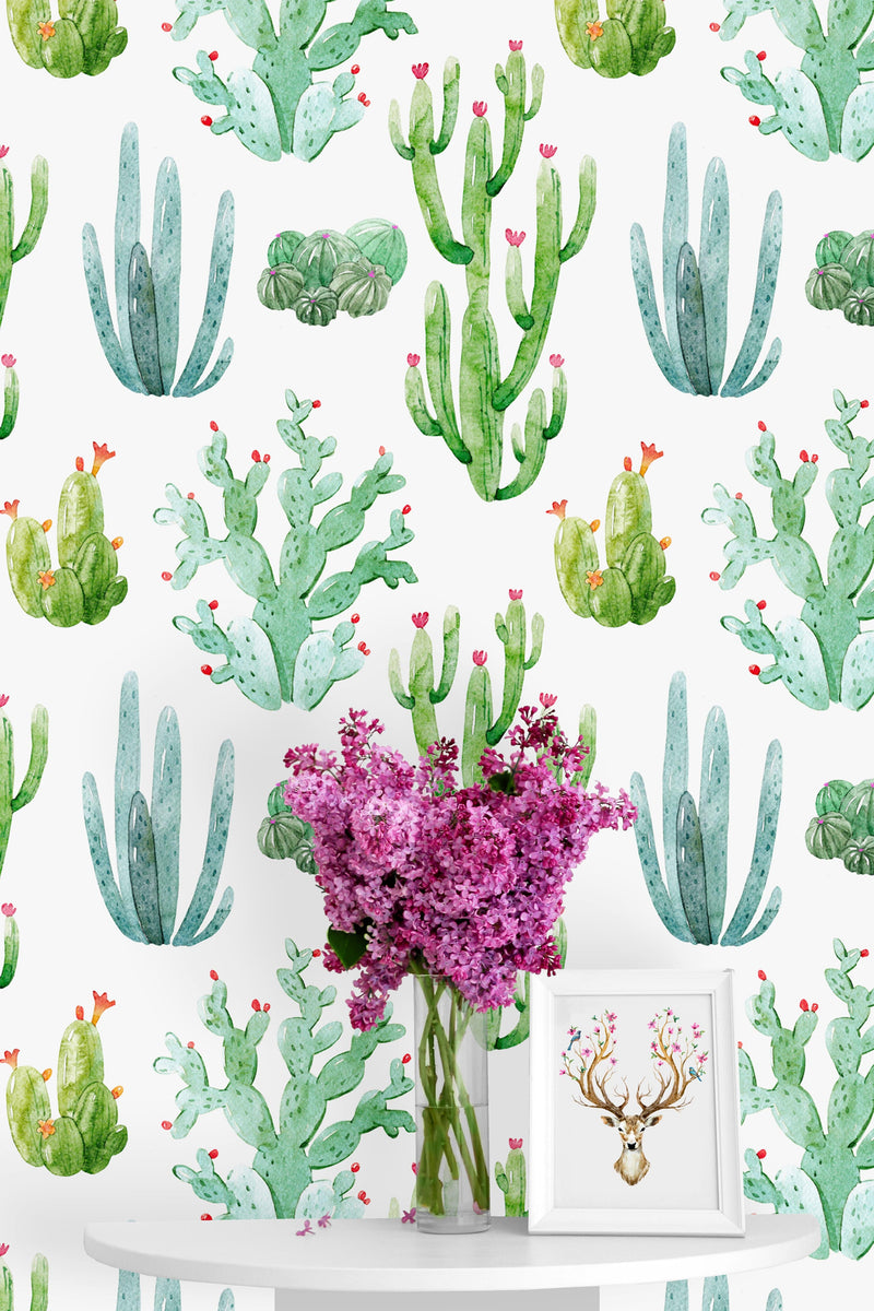 Cacti on White Background Wallpaper