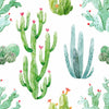 Cacti on White Background Wallpaper