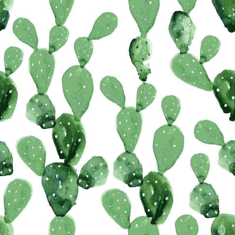 Contemporary Cacti Pattern Wallpaper Chic