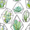 Cactuses and Succulents Wallpaper