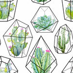 Cactuses and Succulents Wallpaper