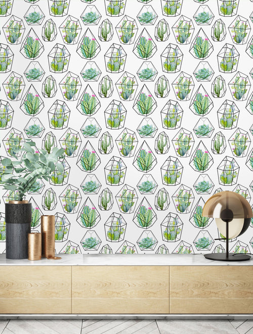 Cactuses and Succulents Wallpaper