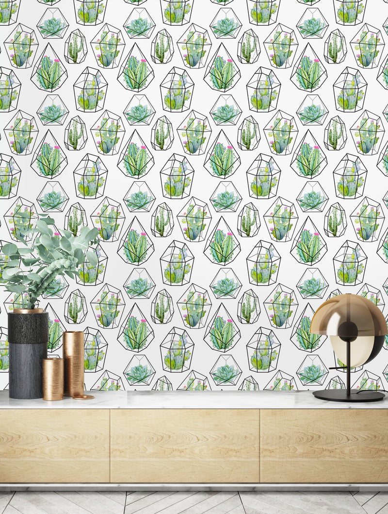 Cactuses and Succulents Wallpaper