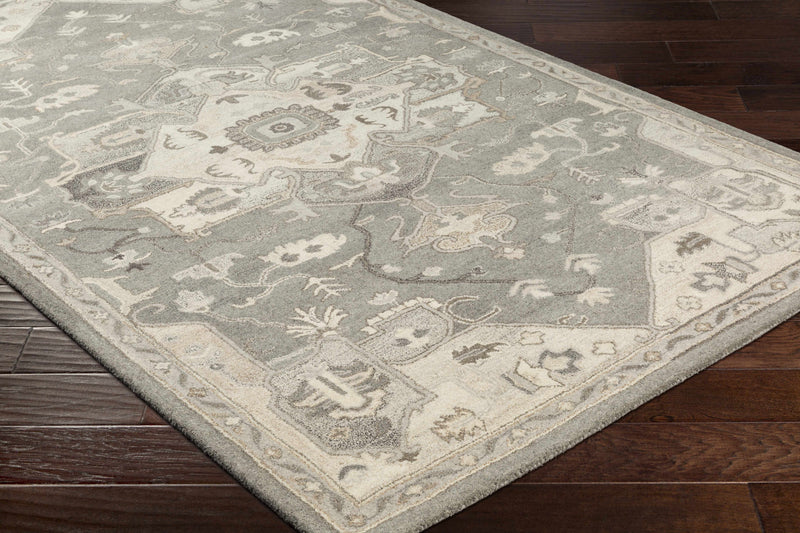 Broomfield Hand Tufted Taupe 1196 Area Rug