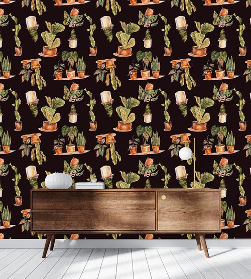 Plants in Pots Wallpaper