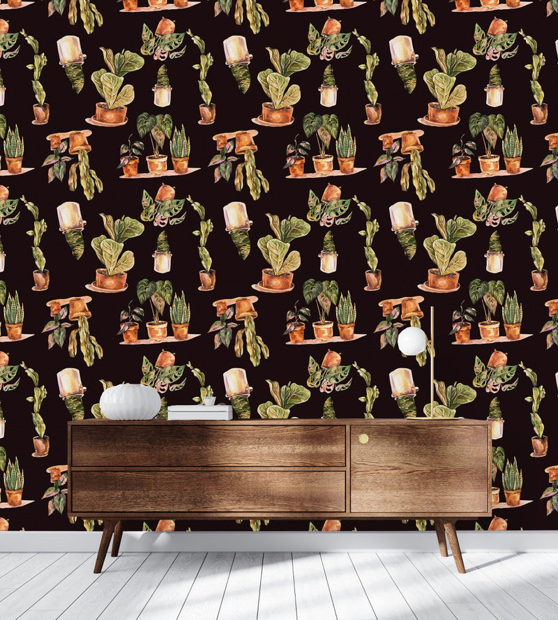 Plants in Pots Wallpaper