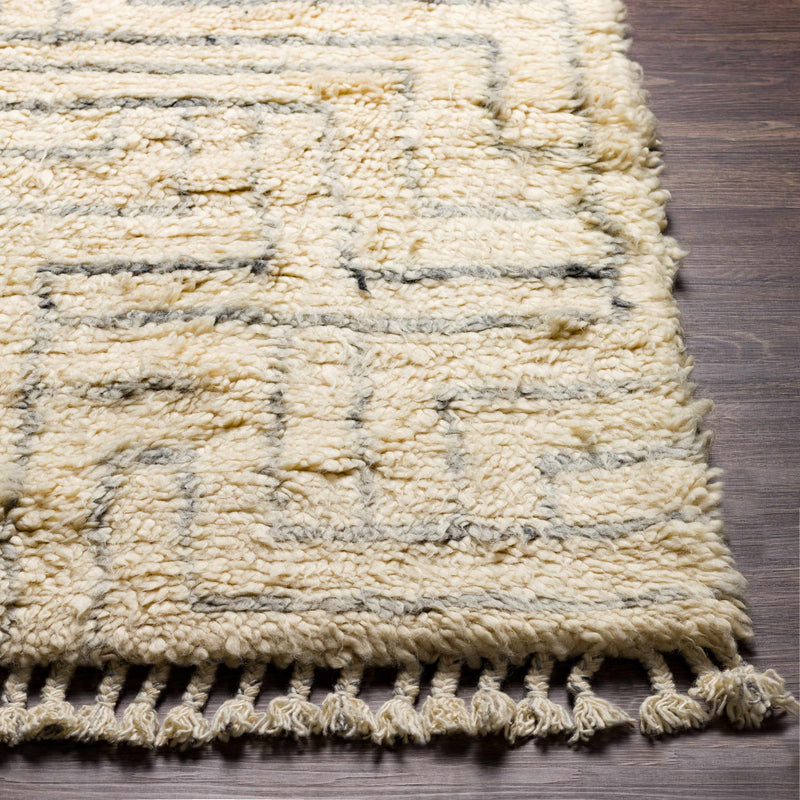 Longstanton Wool Area Rug