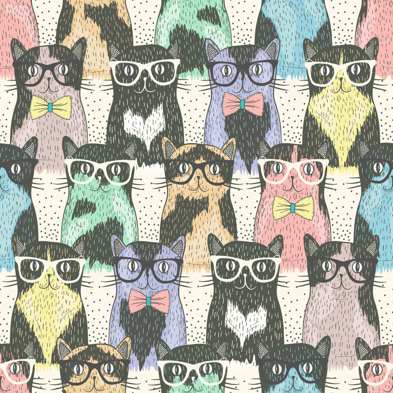 Colorful Cats Wallpaper